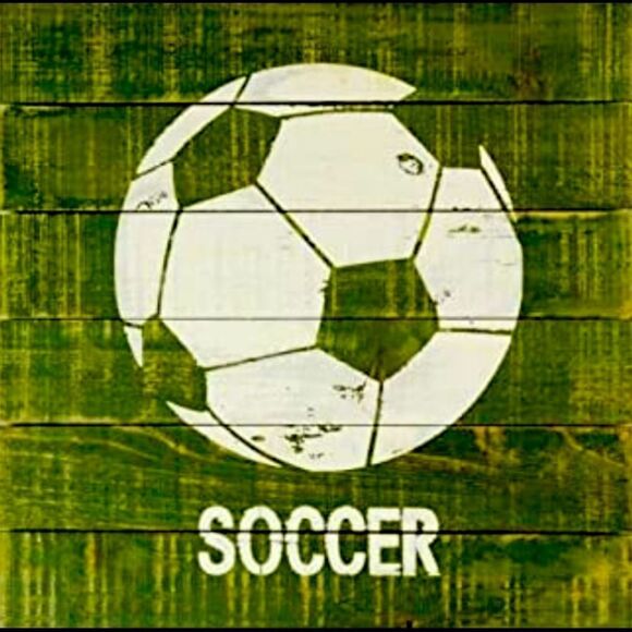 Pillowfort Soccor Plank Art - Picture 1 of 1